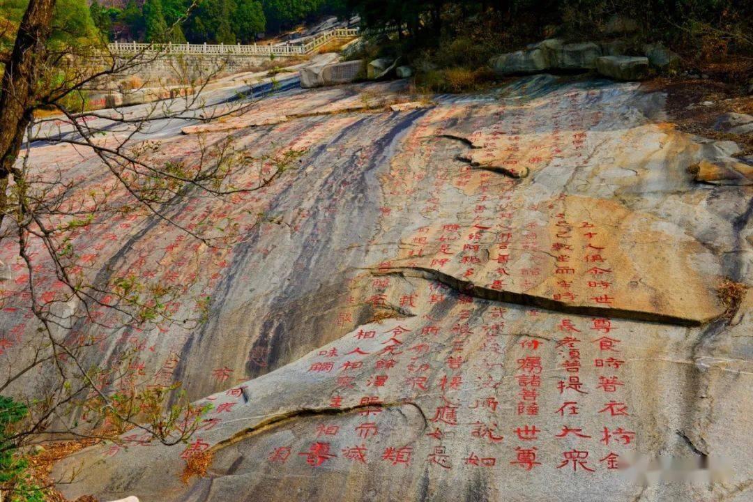 禹城:培育龙头企业打造优质畜产品供应基地